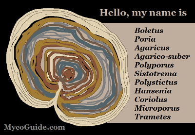 cartoon of Trametes name changes