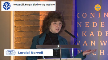 Image of Video.