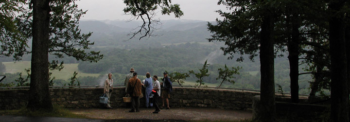 Mushroom collectors at overlook with trees.