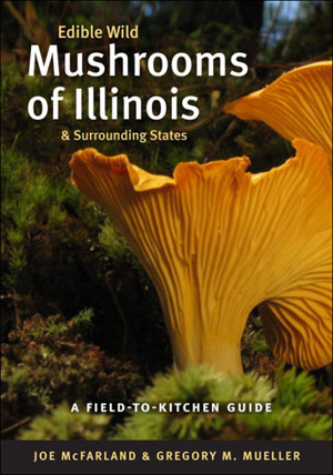 Image of book cover.
