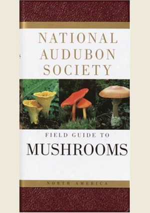 Image of book cover.