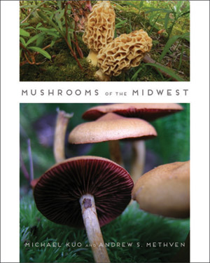 Image of book cover.