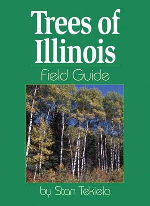 Image of book cover.