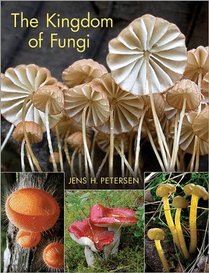 Image of book cover.