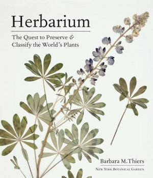 Cover image of the Herbarium book with pressed lupine plant.