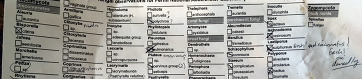 Names marked on a checklist.