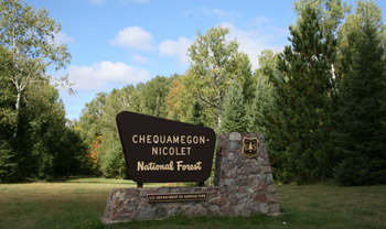 Image of national forest sign.