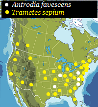 Map of North America, states and provinces.