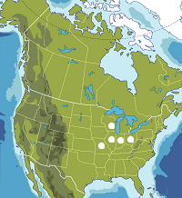 Map of North America, states and provinces.