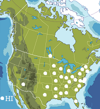 Map of North America, states and provinces.
