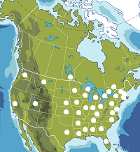 Map of North America, states and provinces.
