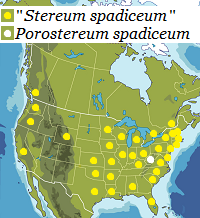 Map of North America, states and provinces.