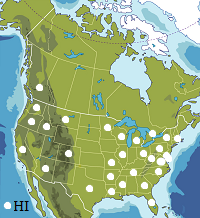 Map of North America, states and provinces.