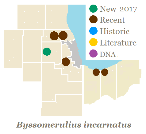 Map of Chicago Region counties.